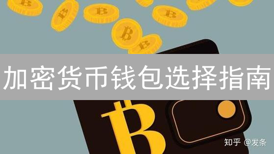 加密货币钱包选择指南：安全高效管理你的数字资产