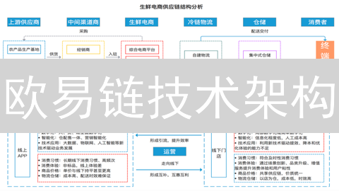 欧易链技术架构：解构与未来发展猜想