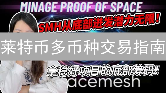 莱特币多币种交易指南：策略、平台与风险管理深度解析