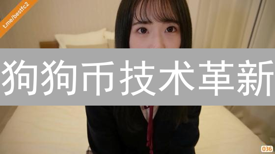 狗狗币技术革新：表情包背后的技术升级与未来展望