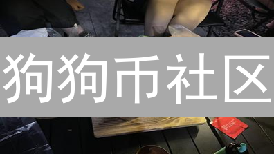 狗狗币社区：活力与争议并存的赛博空间