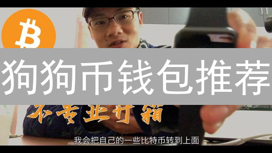 狗狗币钱包推荐：安全存储和便捷交易的优选方案