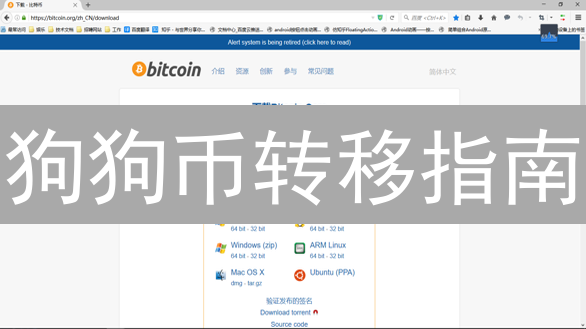 狗狗币转移指南：交易所到钱包详细步骤