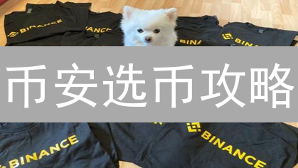 币安选币攻略：新手也能轻松驾驭的加密货币投资技巧