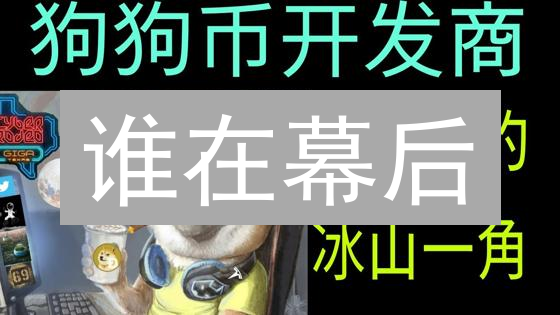 谁在幕后？揭秘狗狗币技术开发团队核心成员！