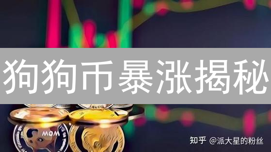 狗狗币暴涨揭秘：2024年价格预测，抓住机遇！