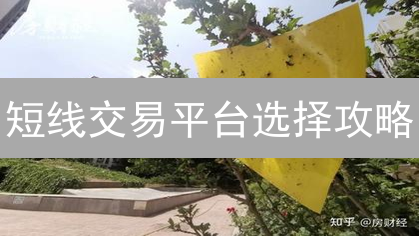 短线交易平台选择攻略：8大要点助你掘金！