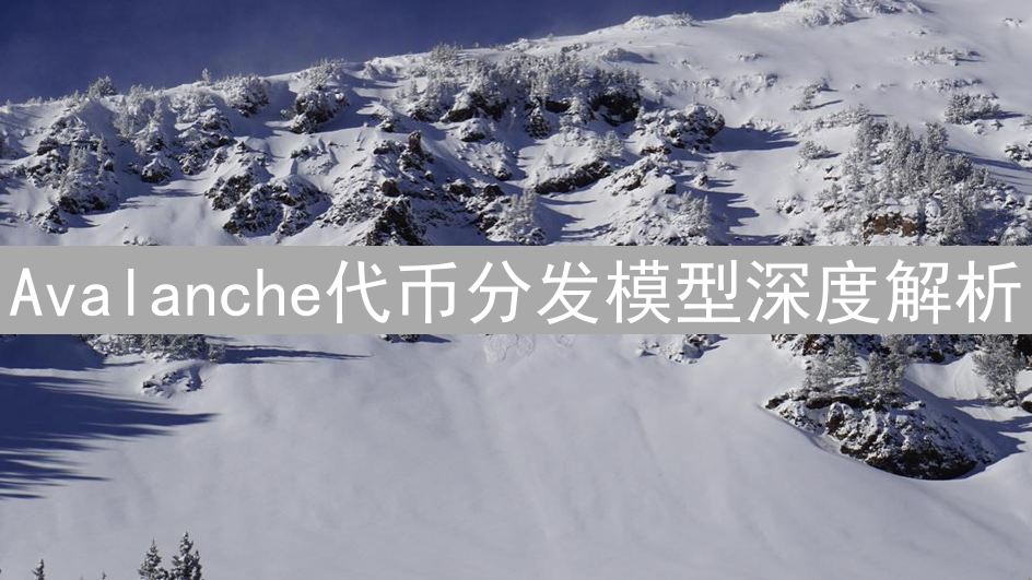 Avalanche代币分发模型深度解析