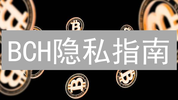 BCH隐私指南：时效性策略，保护你的数字现金安全！