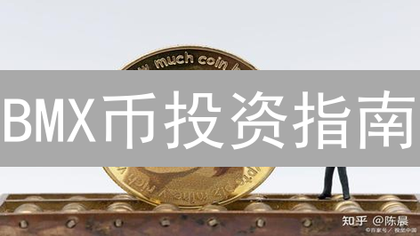 BMX币投资指南：内外版差异、风险与未来展望？