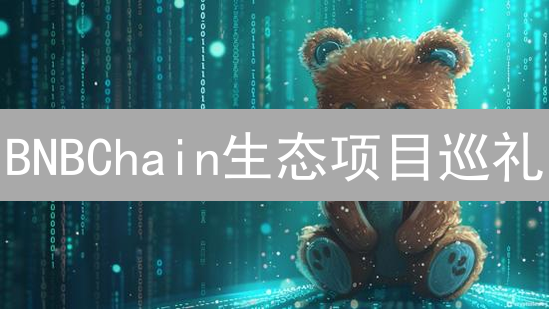 BNBChain生态项目巡礼：创新与繁荣景象一览