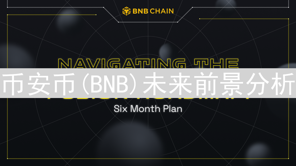 币安币(BNB)未来前景分析：增长机遇与挑战并存