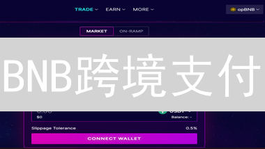 BNB跨境支付：手续费低、到账快，真的适合你吗？