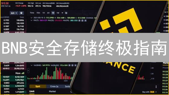 BNB安全存储终极指南：避坑策略与硬核技巧大公开！