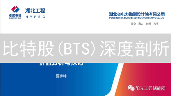 比特股(BTS)深度剖析：价值评估与未来展望，你该买吗？