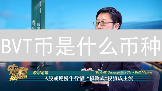 BVT币是什么币种？是否值得投资？深度分析与解读