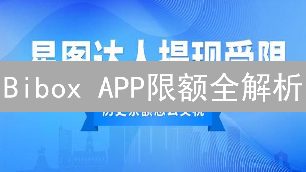 Bibox APP限额全解析：账户安全与资金管理的终极指南【必读】