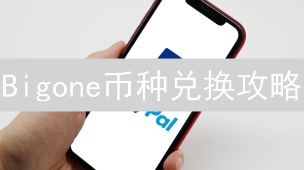 Bigone币种兑换攻略：新手必看，快速玩转数字资产！