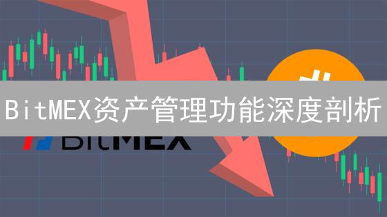 BitMEX资产管理功能深度剖析：应用场景与安全策略