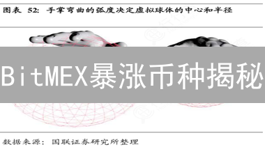 BitMEX暴涨币种揭秘：新手也能快速盈利？今日必看！