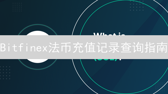 Bitfinex法币充值记录查询指南：高效追踪您的资金流向！