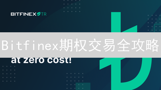 Bitfinex期权交易全攻略：新手也能玩转加密期权？