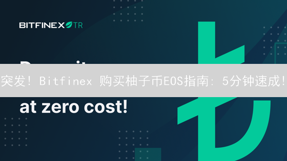 突发! Bitfinex 购买柚子币EOS指南: 5分钟速成!