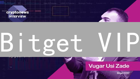 Bitget VIP：玩转等级，解锁收益新姿势！