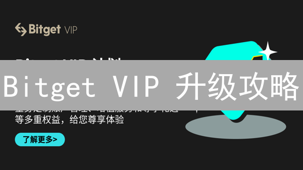 Bitget VIP 升级攻略：解锁更低费率，交易收益翻倍？