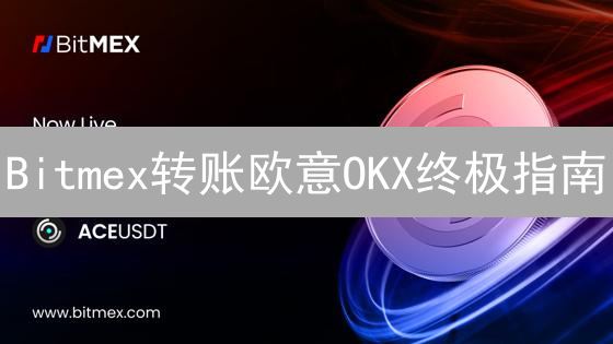 Bitmex转账欧意OKX终极指南：资金转移，安全高效！