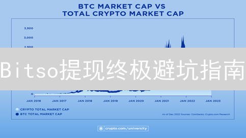 Bitso提现终极避坑指南：手续费详解与省钱秘籍！