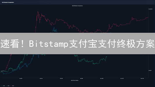 速看！Bitstamp支付宝支付终极方案：新手也能轻松搞定！
