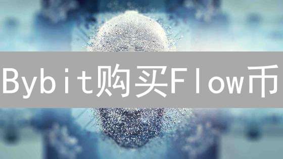 Bybit购买Flow币：哪里最划算？交易深度、费用及最佳购买策略