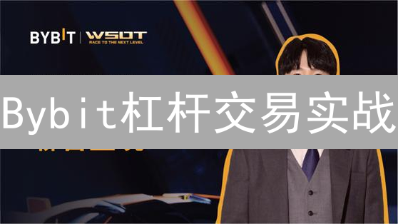 Bybit杠杆交易实战：爆仓教训与稳健盈利策略分享！