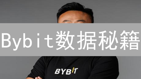 Bybit数据秘籍：解锁盈利密码，告别盲投！