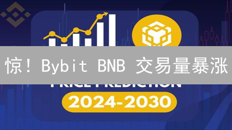 惊！Bybit BNB 交易量暴涨？深度解析，抓住财富机遇！