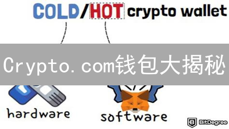 Crypto.com钱包大揭秘：你的币安全吗？现在就来掌控！