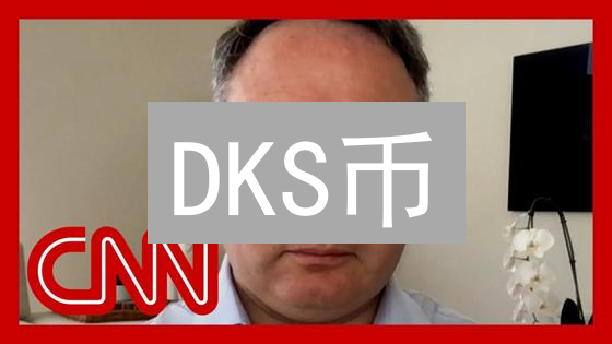 DKS币：技术原理、应用场景与未来挑战深度分析