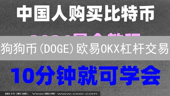 狗狗币(DOGE)欧易OKX杠杆交易：新手必看指南！