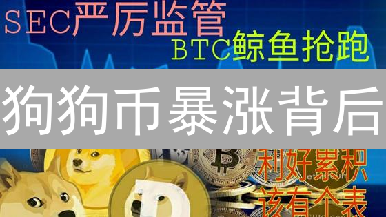 狗狗币暴涨背后：揭秘影响Dogecoin需求的七大推手！