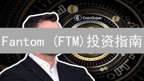 Fantom (FTM)投资指南：高性能智能合约平台值得买吗？