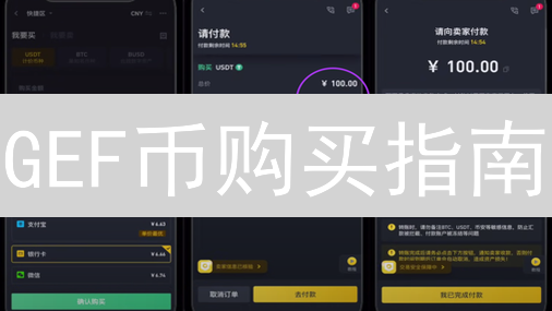 GEF币购买指南：新手入门，轻松开启星际财富之旅