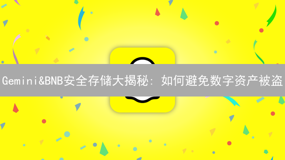Gemini&BNB安全存储大揭秘: 如何避免数字资产被盗？