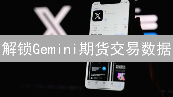 解锁Gemini期货交易数据：高效查询与深度分析全攻略【必读】