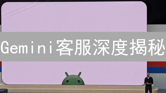 Gemini客服深度揭秘：夜间求助，你该怎么办？