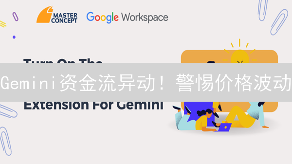 Gemini资金流异动！警惕价格波动？【深度分析】