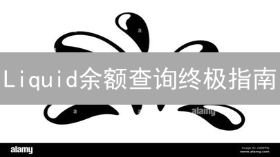 Liquid余额查询终极指南：快速掌握资产，避免踩坑！
