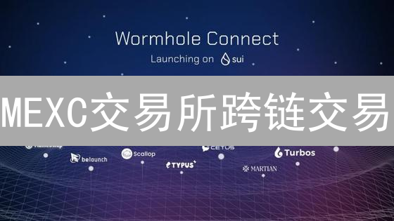 MEXC交易所跨链交易：连接多链世界的桥梁与网络支持