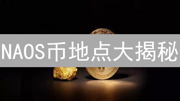 NAOS币地点大揭秘：下一个百倍币？速看！
