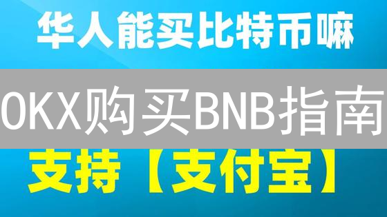 OKX购买BNB指南：轻松进入币安生态系统 (20-30字)
